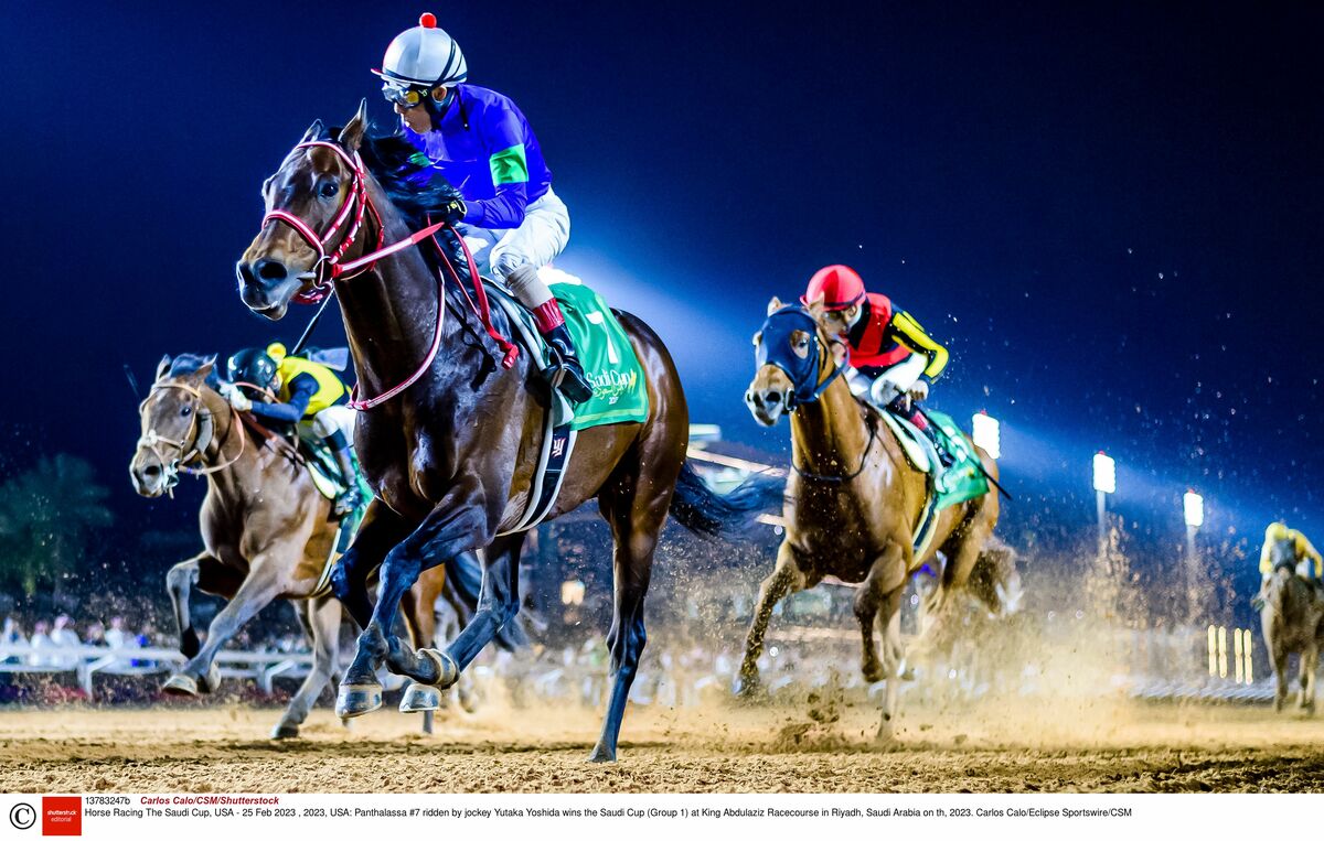 競馬】フォーエバーヤングJRA賞デジタルフォト／2024 JRA AWARDS