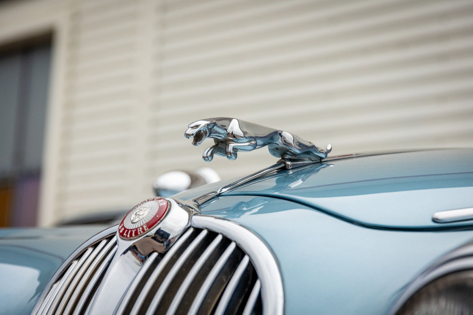Mk2、E-TYPE、XJ……ジャガー往年の名車をジャガーたちを今 Mk2、E-TYPE、XJ……ジャガー往年の名車をジャガーたちを今