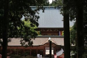 藤原式家官人の考察 新装 | 木本 好信 |本 | 通販 | Amazon
