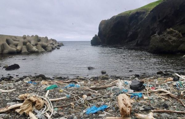 浮遊するプラごみで最も多いのは人工芝だった マイクロプラスチックの実態と流出経路を探る 中 1 3 Jbpress Japan Business Press