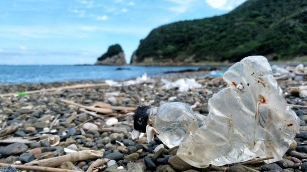 プラスチック 問題 海洋
