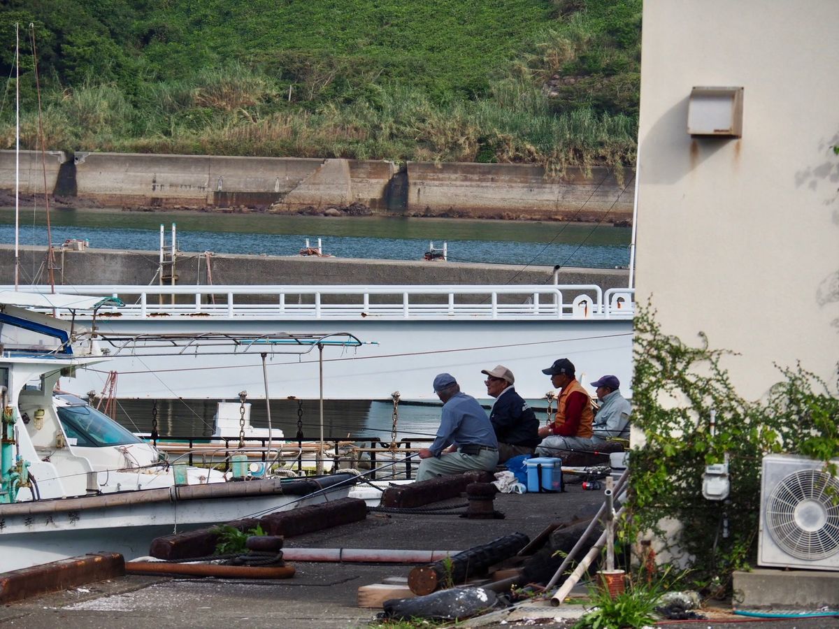 会社員から漁師へ 手作り 魚醤 で産業興し 鹿児島県南さつま市の港町に移住した村主賢治さんの挑戦 Jbpress ジェイビープレス