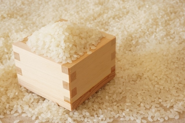 なぜトマトより米は安く売られているのか 農業から見える経済のフシギ Jbpress 日本ビジネスプレス