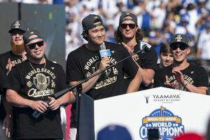 中日・川越誠司の「幻の本塁打」で議論沸騰のビデオ判定システム、なぜ