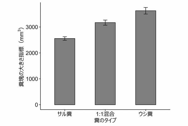 図5.コブマルのペアが作った糞塊の大きさ。エラーバーは標準誤差(Kishi and Nishida 2006より改変)。
