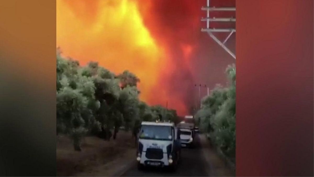 沿岸部に炎が迫り ボートで脱出 トルコ観光地で山火事相次ぐ Jbpress ジェイビープレス