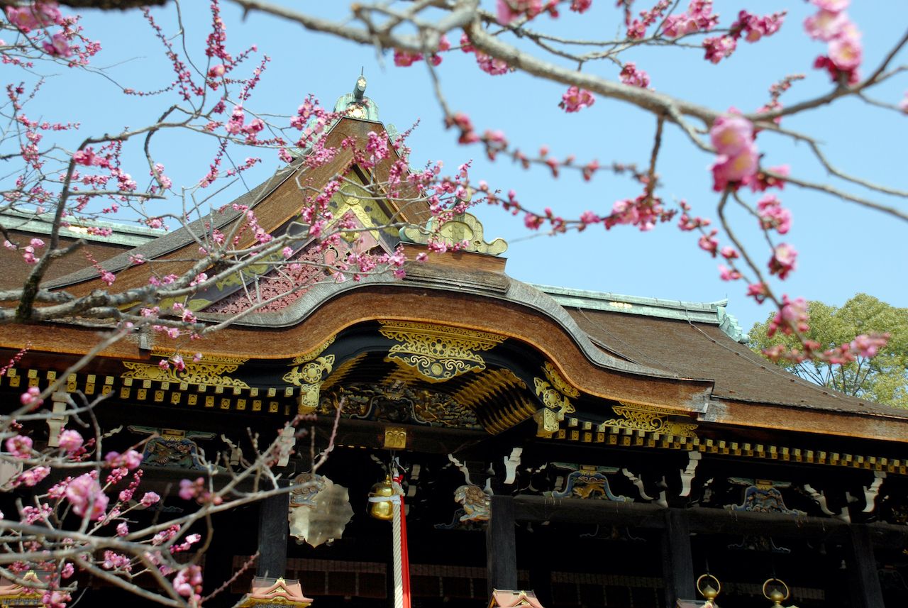 Amazon.co.jp: 北野神社由来記/愛知県士族北野神社宮司兼權少教