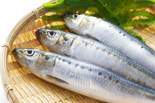 日本の缶詰第一号、イワシは謎に満ちた魚だった 「弱」をつけ 日本の缶詰第一号、イワシは謎に満ちた魚だった 「弱」をつけ