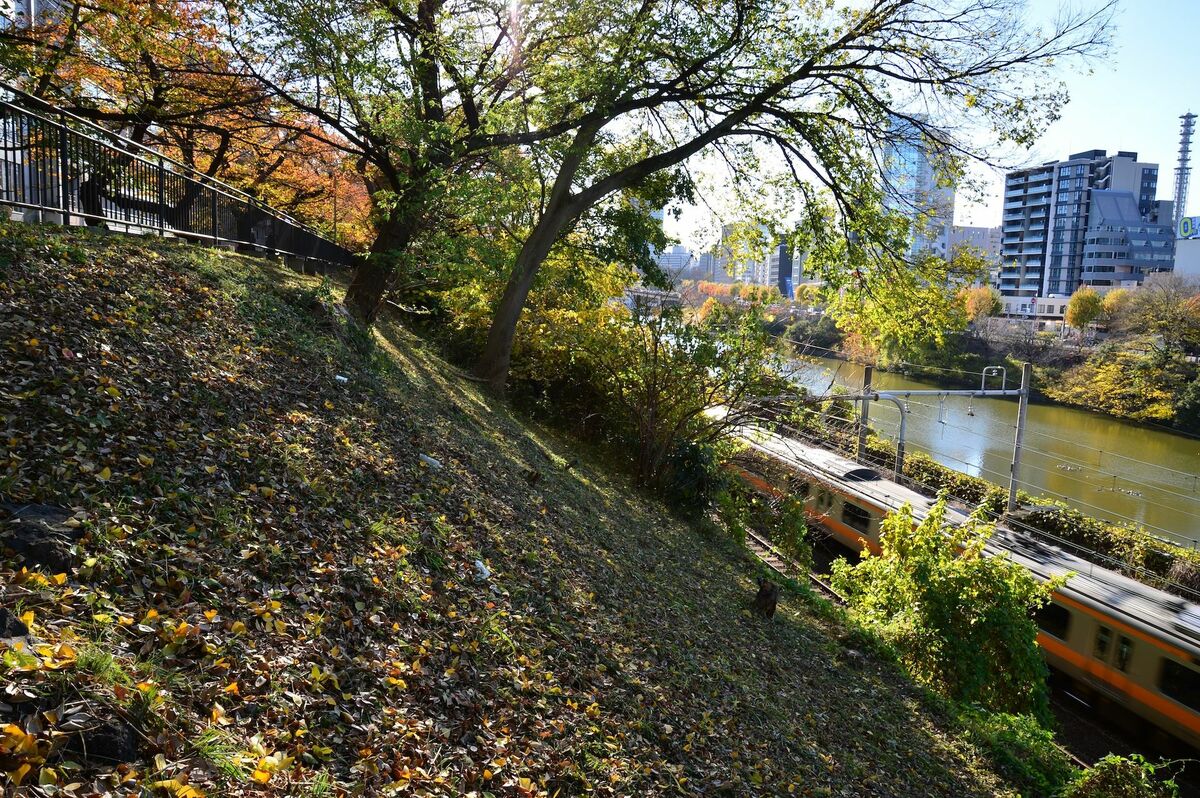 写真ギャラリー10枚め｜歩けばわかる、強大で広大な江戸城の「外郭」が最強である理由、総延長14キロ、今も外郭が守るものとは ...