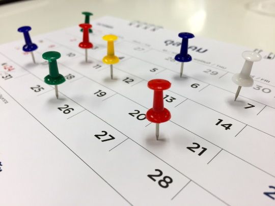 スケジュール