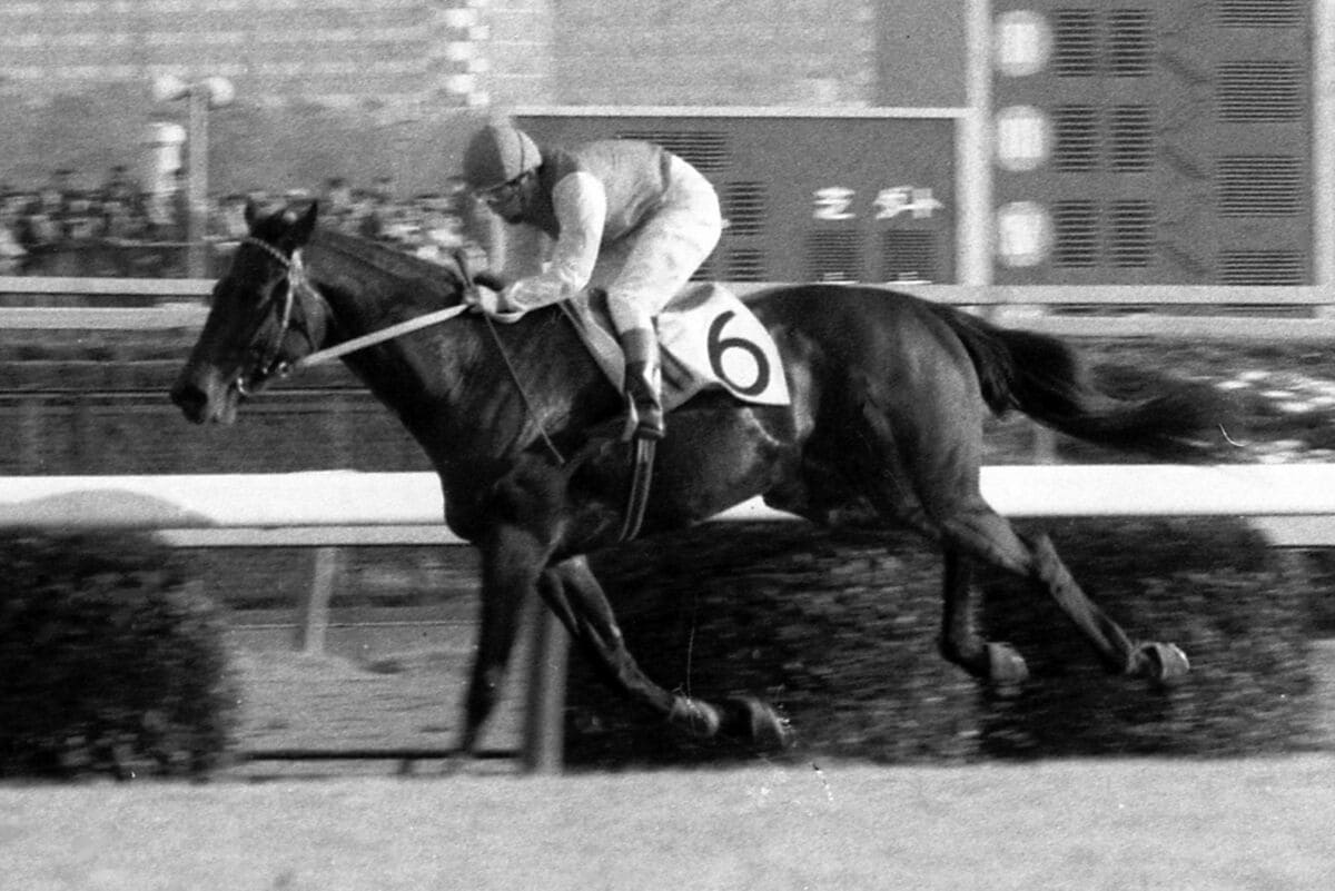 アメリカ競馬史 maxresdefault.jpg
