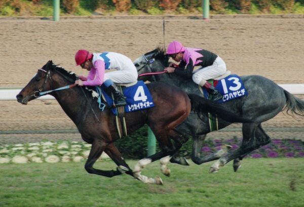 有馬記念」とは？1年を締めくくる熱狂のレース、ファン投票で