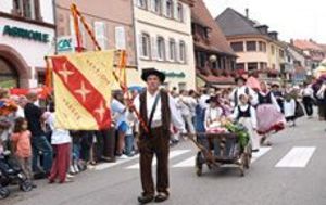 夏祭り フランスと日本の共通点 今年で80回目 アルザス地方は世界中からの人で埋まる 1 3 Jbpress ジェイビープレス