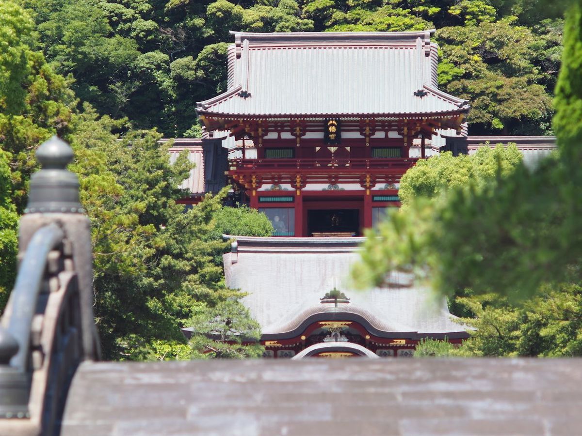 實の従兄弟