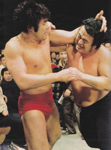 専用です　ヴィンテージ　日本製　ジャイアント馬場　ジャンボ鶴田 img_66d5cb22a2ed4b9ce4413fd707