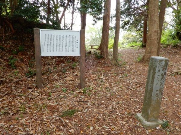 公家かぶれではない？今川義元が桶狭間合戦で輿（こし）に乗った本当の