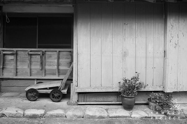◎それぞれ微妙に形が違う（写真：木村肇）