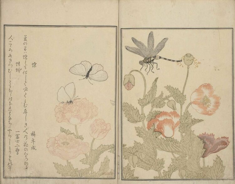 img_37bb107010f181783415dc26c0