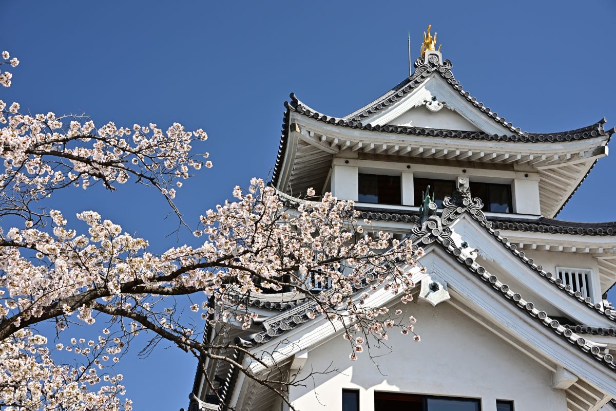 なぜ墨俣一夜城は「不可能」と言われたのか？ 大河『豊臣兄弟！』で