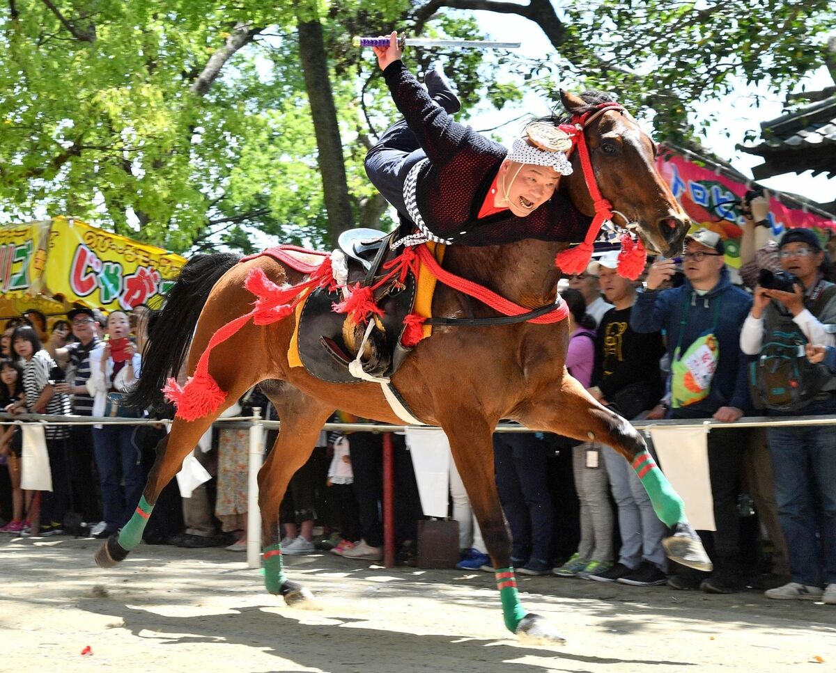 写真ギャラリー6枚め｜2026年はうま年！初詣にもおすすめ「馬（午）」にまつわる神社10選 神聖な存在として崇めらてきた動物、勝負運、金運 ...
