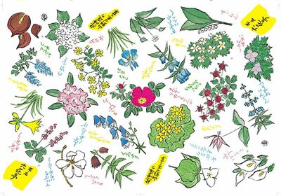 再現不可能？世界に3つの奇跡の茶碗、国宝「曜変天目」の魅力 知られ