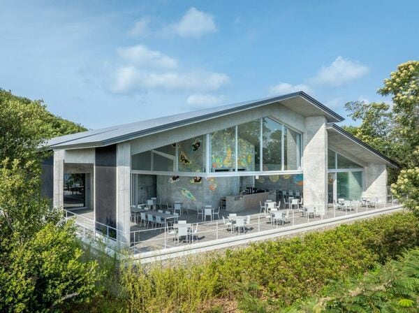美品 建築家 本人サイン 安藤忠雄 70点以上掲載 スケッチ 直島