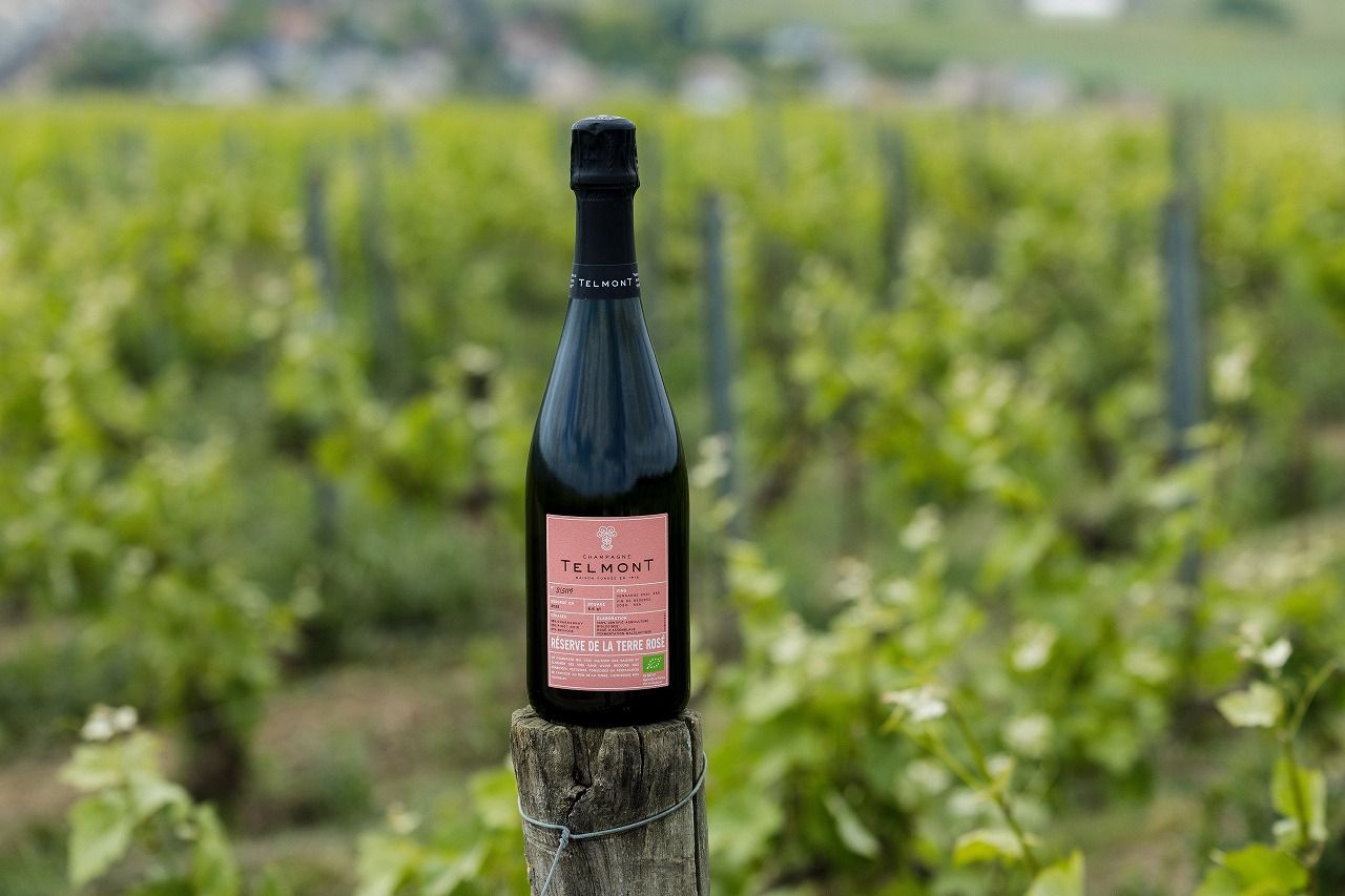 シャンパーニュ テルモンの新作はらしさにあふれるオーガニックワイン