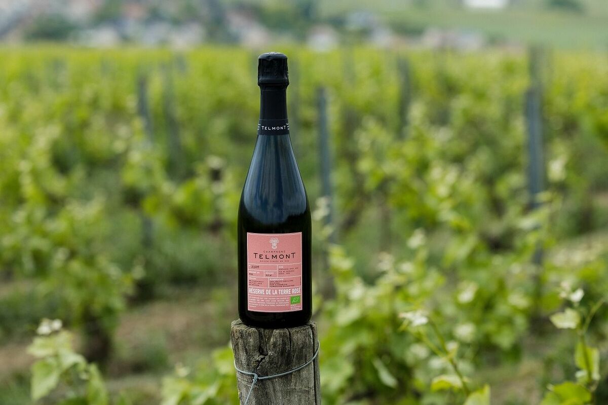シャンパーニュ テルモンの新作はらしさにあふれるオーガニックワイン