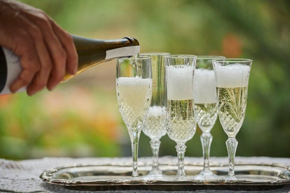 世界70ヵ国以上の地質を知る地質マニアが造るワインが帰ってきた！ 西