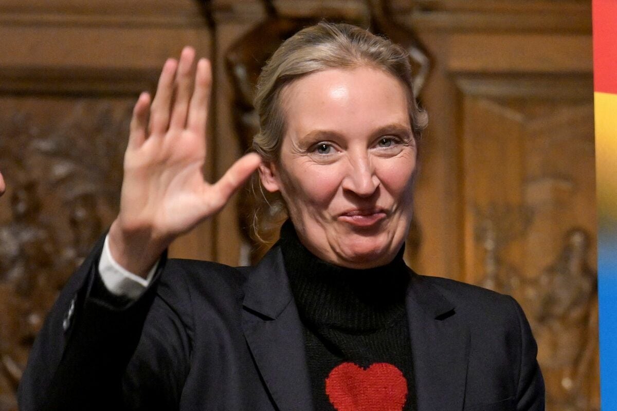 勢いづくドイツ「女トランプ」の正体、イーロン・マスク氏の援護射撃受け危険思想があらわに(1/5) | JBpress (ジェイビープレス)