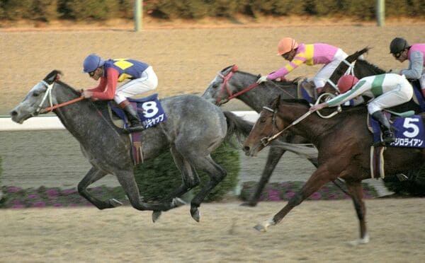 有馬記念」とは？1年を締めくくる熱狂のレース、ファン投票で出走馬を