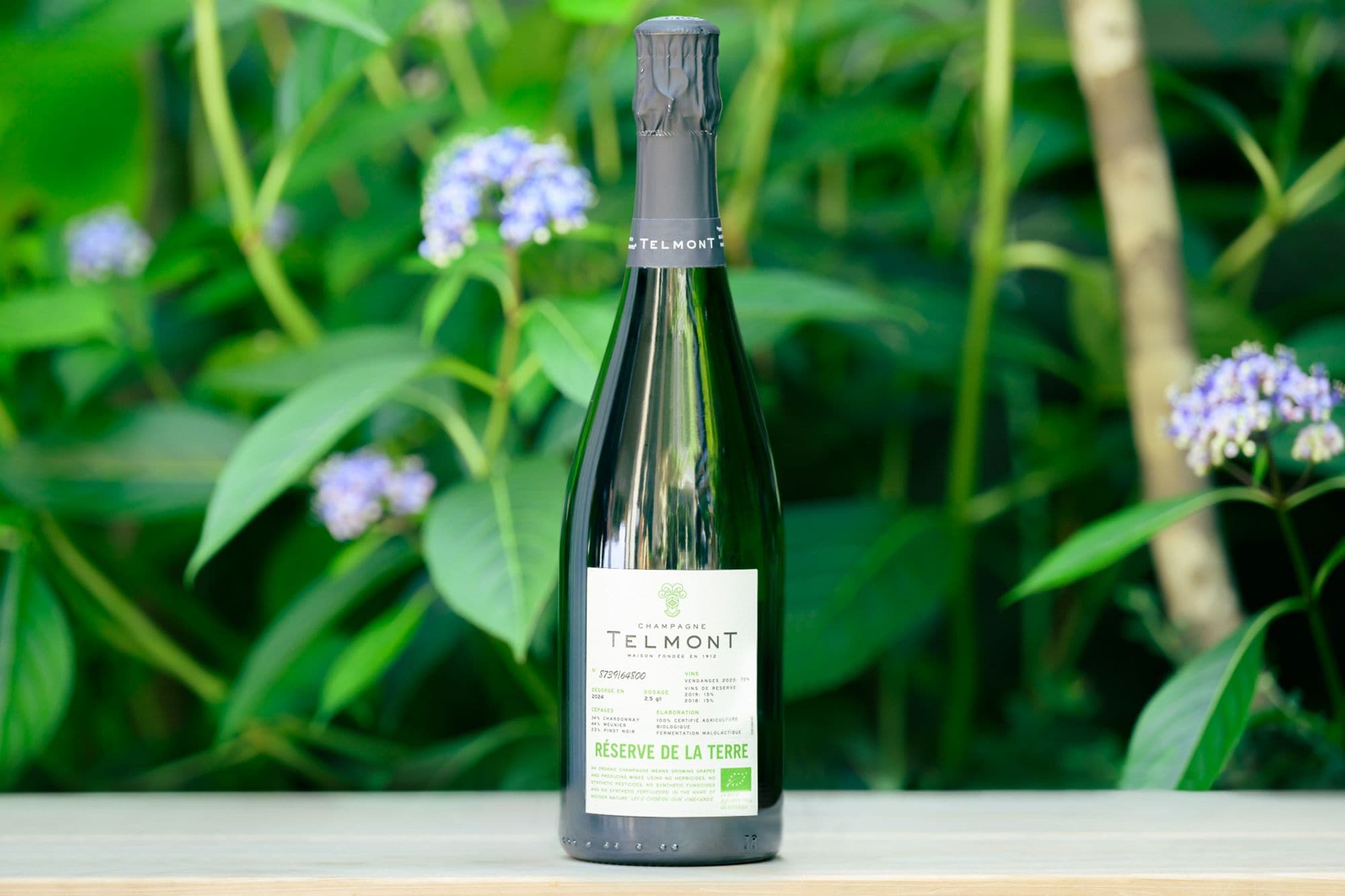 ディカプリオも出資するシャンパーニュ「テルモン」が未来を占う完全