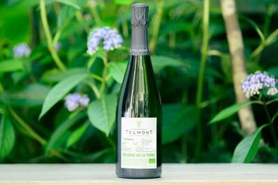 シャンパーニュ テルモンの新作はらしさにあふれるオーガニックワイン