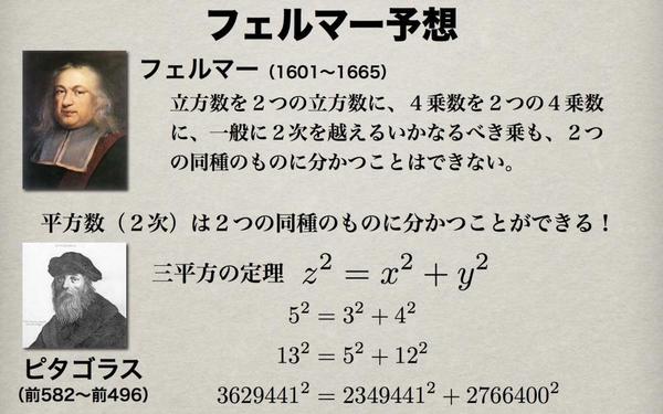 サラリーマンのための超入門・リーマン予想 フェルマー予想