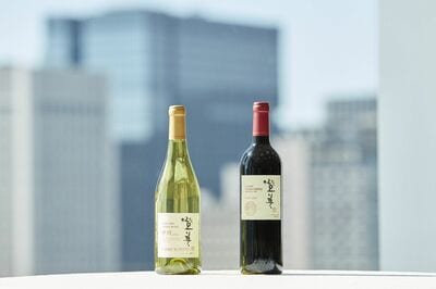 サントリーワイン、２０２２年【甲州登美】 サントリー「SUNTORY FROM FARM 登美 甲州 2022」「同 登美 赤