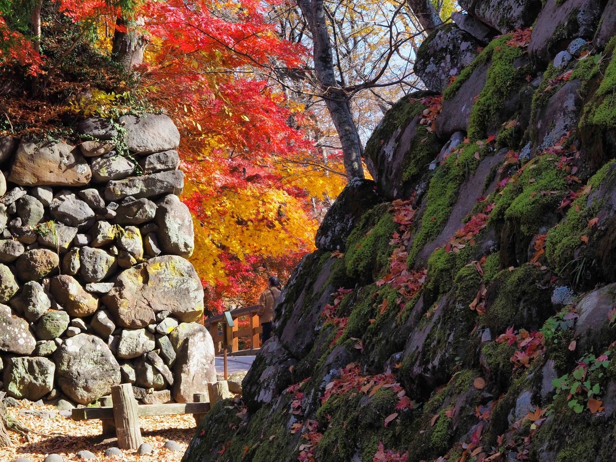 岩舟山から俯瞰する (両毛線) | やまばと6号の写真帳（仮）