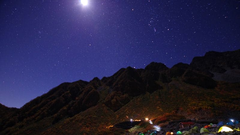 ベテルギウス爆発 生態系への 光害 はあるのか 農作物に昆虫 サンゴ 月光に左右される生物はどうなる 1 4 Jbpress ジェイビープレス