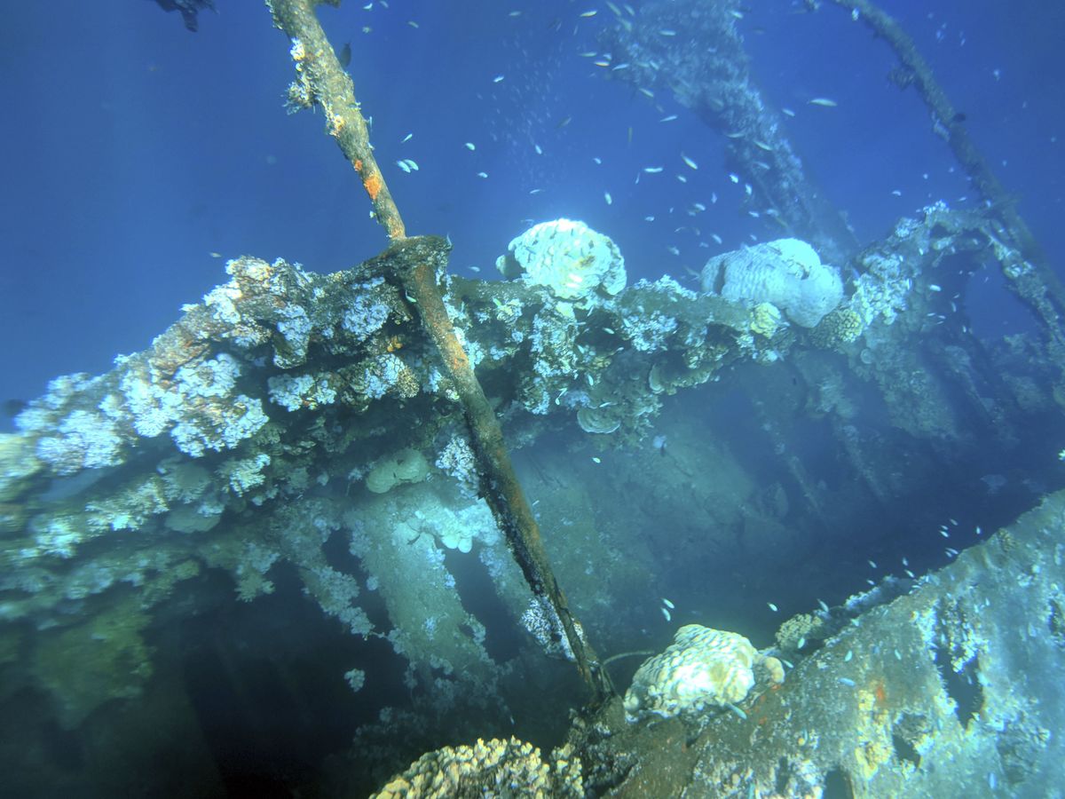 腐食が進む海中のゼロ戦、忘れ去ってはいけない水中戦争遺跡　南太平洋チューク諸島の海で水中考古学者・山舩氏が見たもの
