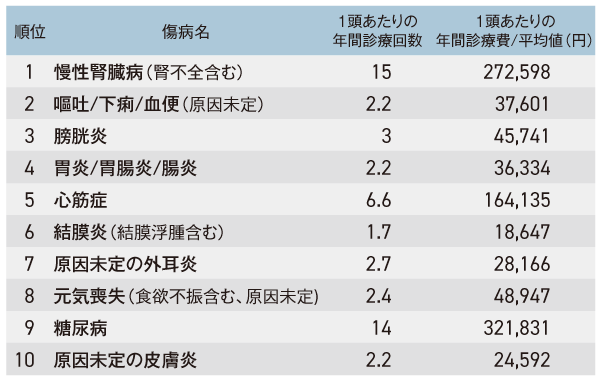 猫の保険金請求理由と診療費