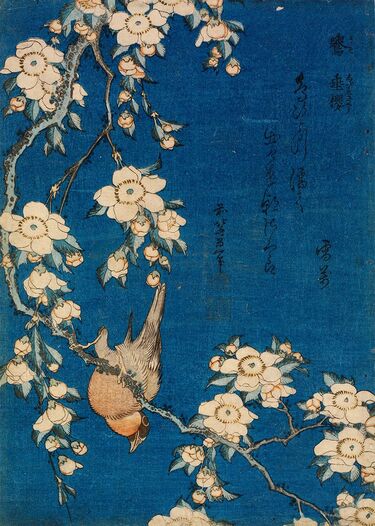 写真ギャラリー3枚め｜葛飾北斎と歌川広重、「花鳥版画」の分野では