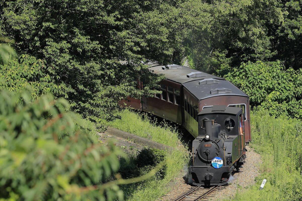 遊園地なのに「本物すぎる」SL体験、愛知こどもの国の蒸気機関車が鉄道 