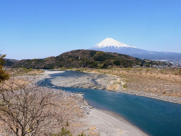 富士川の合戦に負けた平家軍に足りなかったものとは？ 鎌倉殿へ