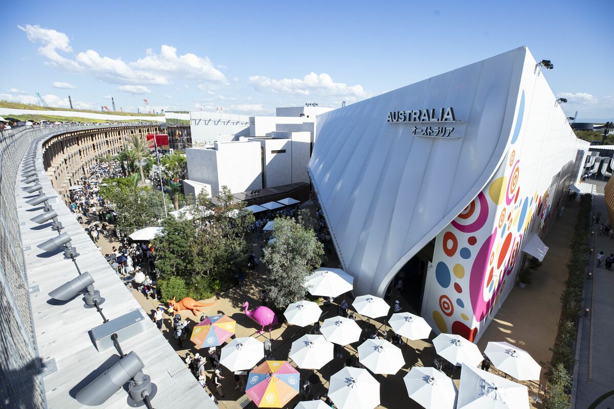 img_6dcc07b6253cae6ac9799c38e3