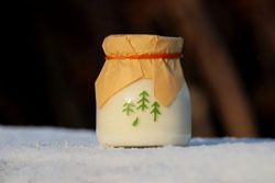 森林ノ牛乳／前田せいめい撮影