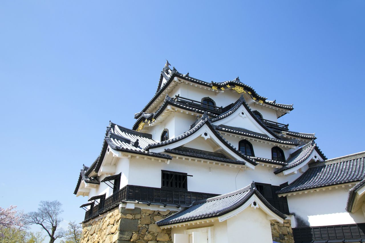 どうする家康』徳川四天王最年少の井伊直政、天下取りを支えた短く濃い