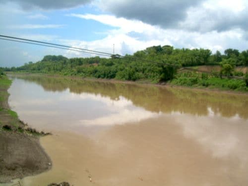 河川汚染が進むインドネシア 日本で有名なあの川も 清き流れ が今や汚濁に悪臭 水に触れただけで痒みや水泡も 1 4 Jbpress ジェイビープレス
