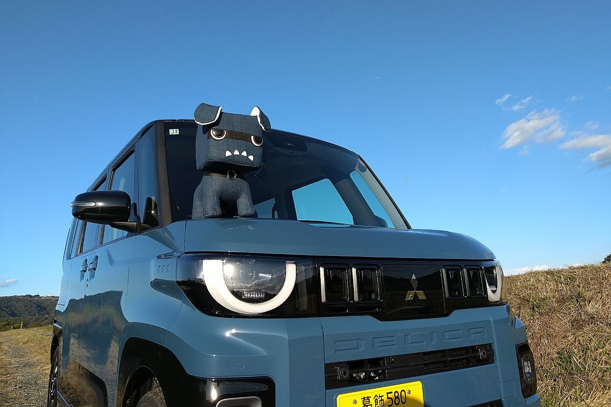 img_85c6161c2d48ab87047adbb586