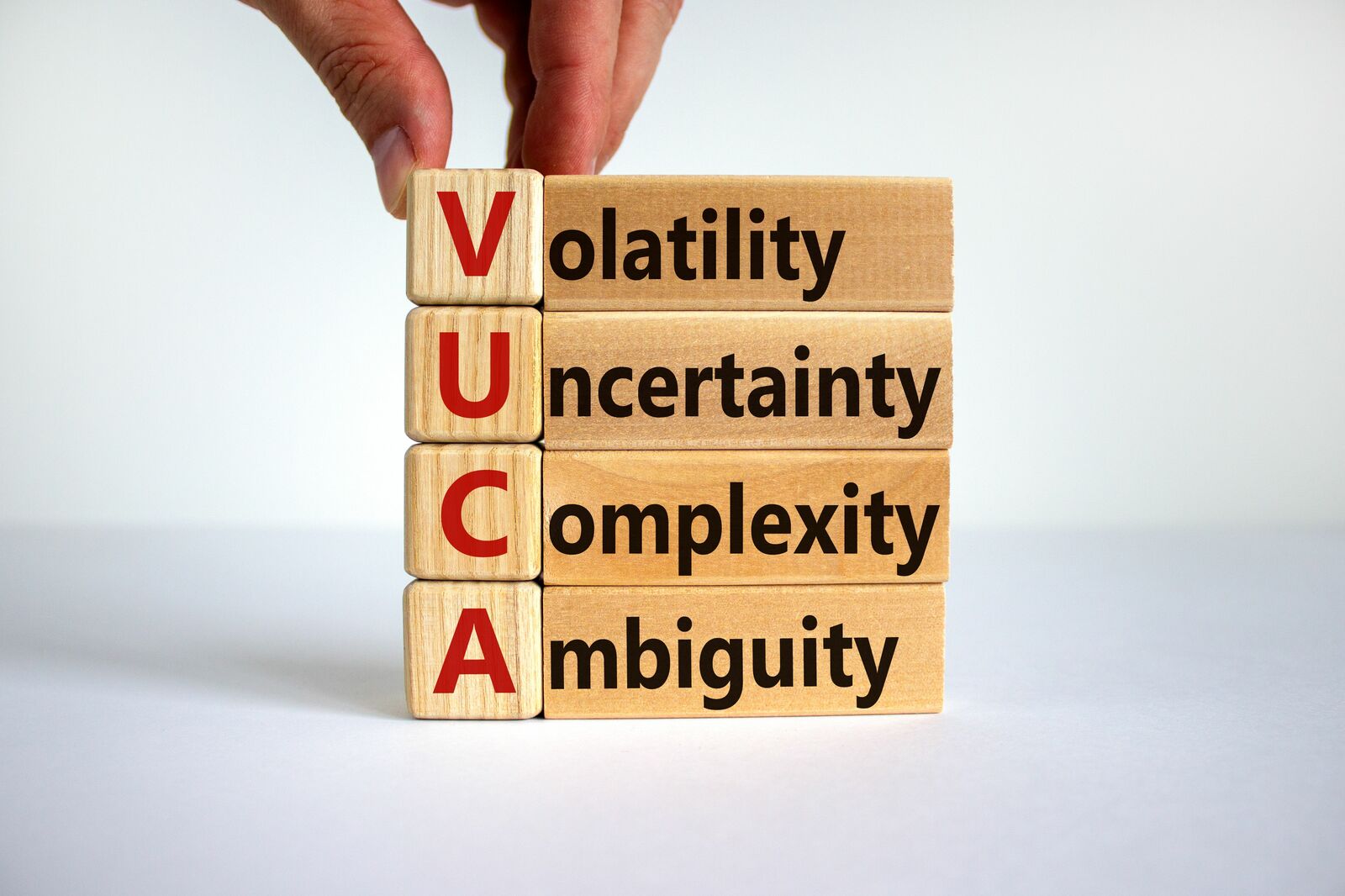 旧来型の方法論と価値観は通用しない！VUCAの時代の経営