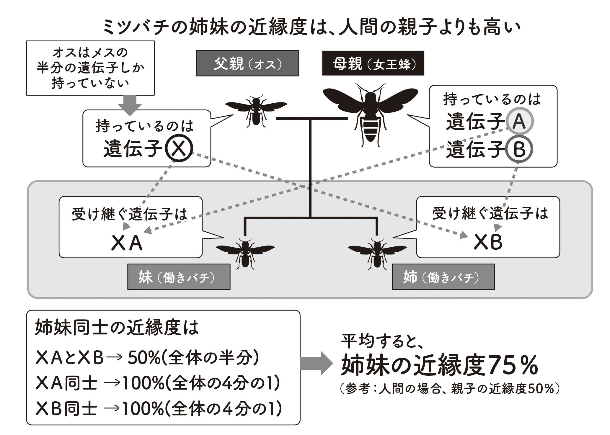 なぜ「利他的行動」が子孫に継承されるのか？ 人間の生命観を覆したドーキンスの名著『利己的な遺伝子』の核心とは | Japan ...