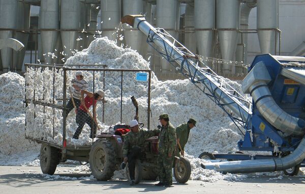 新疆生产建设兵团的体制与运行研究　Amazon4万円 中国国务院发布《新疆生产建设兵团的历史与发展》白皮书